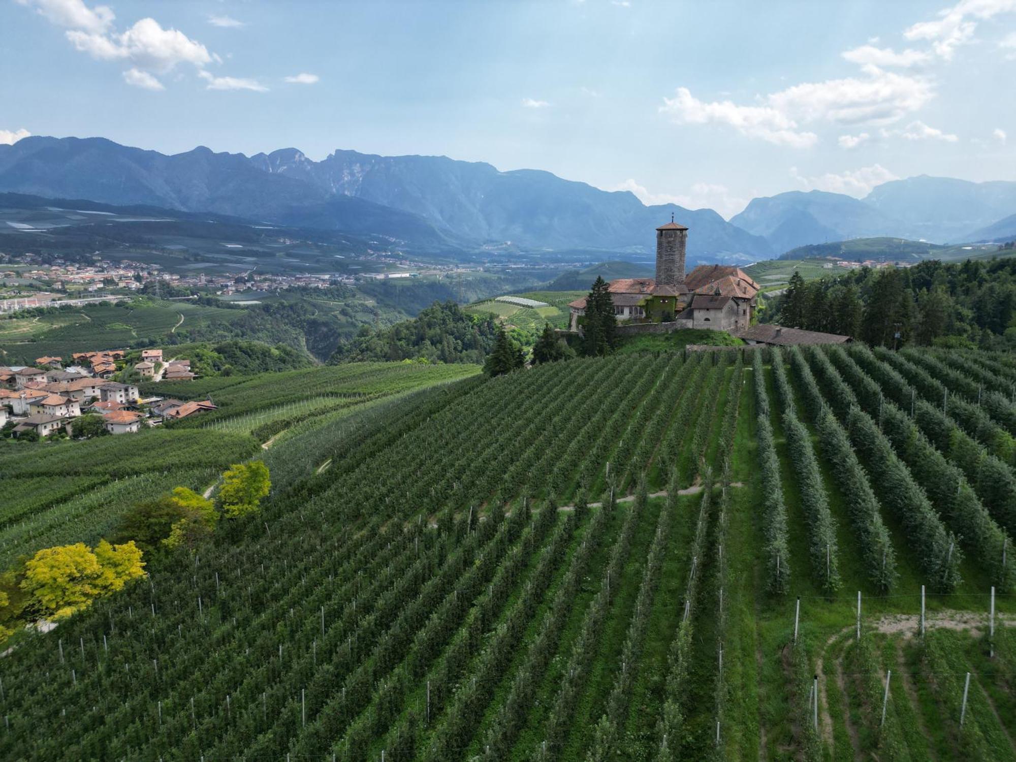 Апартаменты Maso Valer - Agritur Тассулло Экстерьер фото