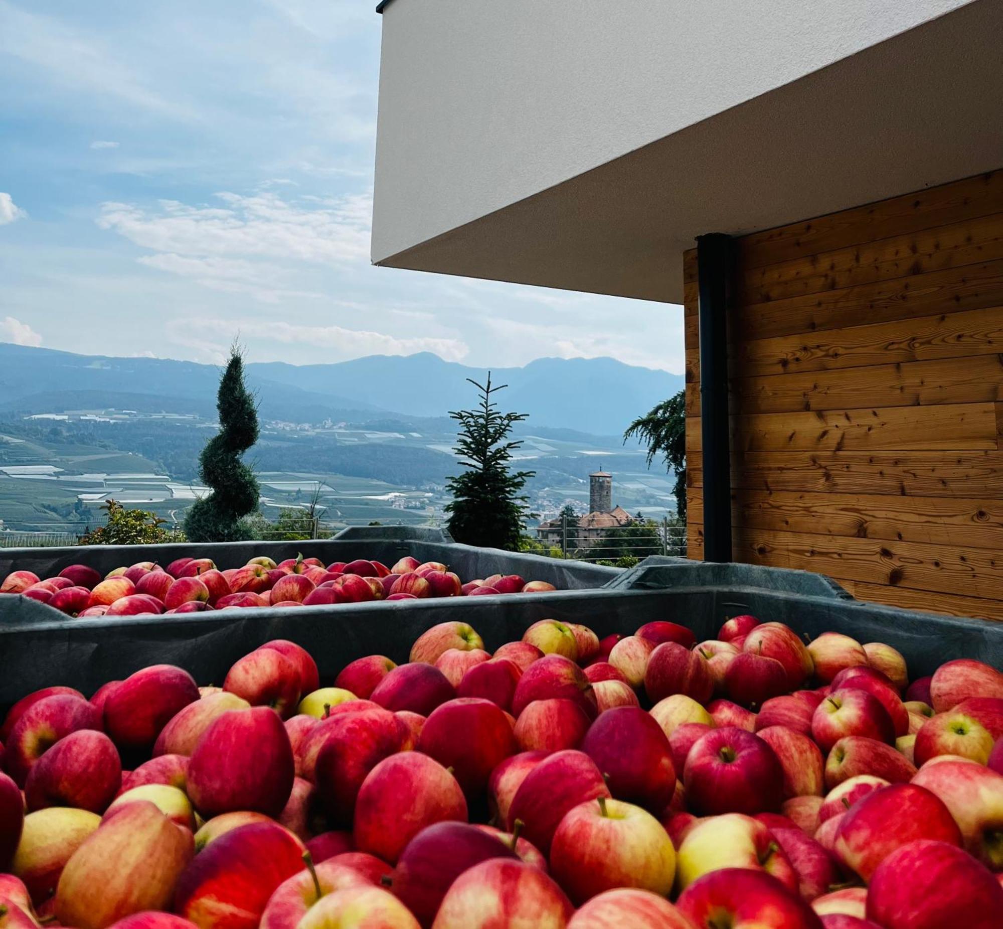 Апартаменты Maso Valer - Agritur Тассулло Экстерьер фото